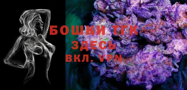 спайс Алексин