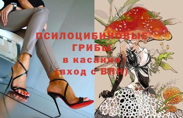 ГАЛЛЮЦИНОГЕННЫЕ ГРИБЫ Аркадак