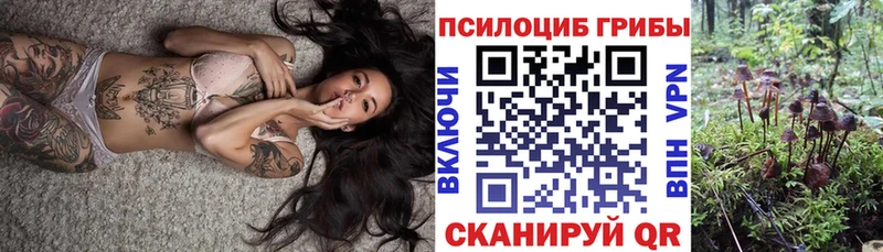 Псилоцибиновые грибы прущие грибы  Жирновск 